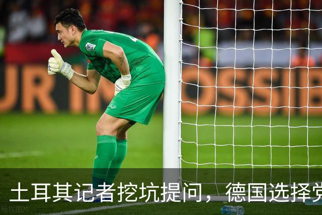 土耳其记者挖坑提问，德国选择党议员当场怒怼：一个中国不容质疑