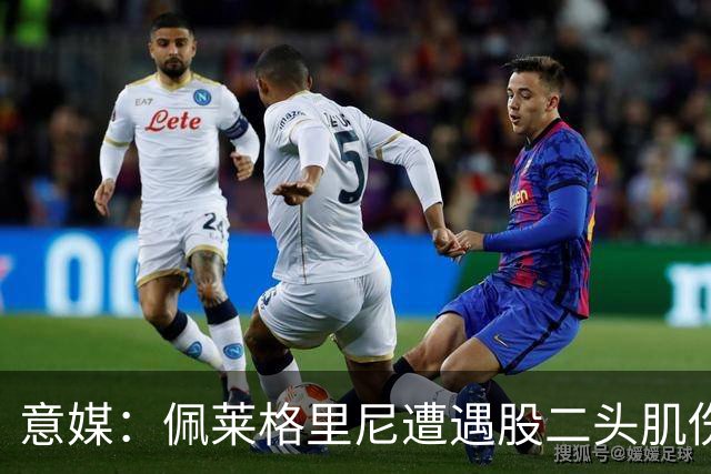 意媒：佩莱格里尼遭遇股二头肌伤病，初步预估将缺阵约四周