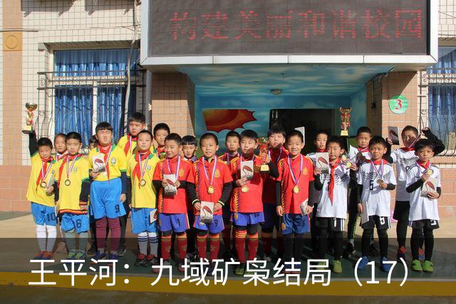 王平河：九域矿枭结局（1/7）