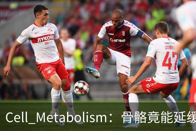 Cell Metabolism：骨骼竟能延缓衰老、延长寿命！白晓春团队揭示抗衰新机制